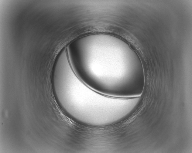 X0000073900481200608110939