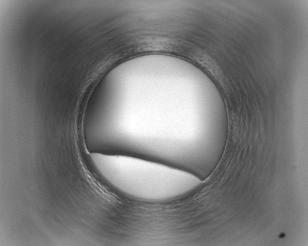 X0000073900482200608110939