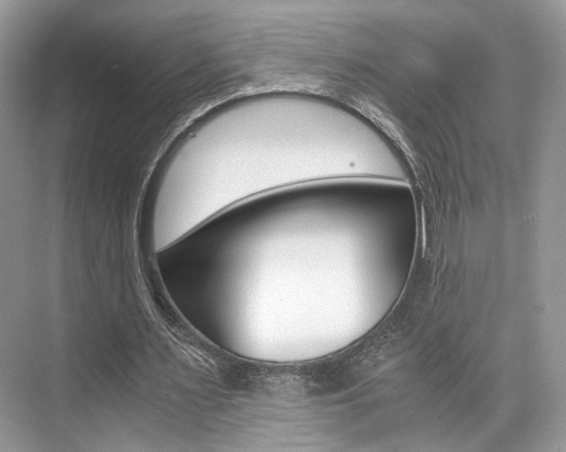 X0000073900483200608110939