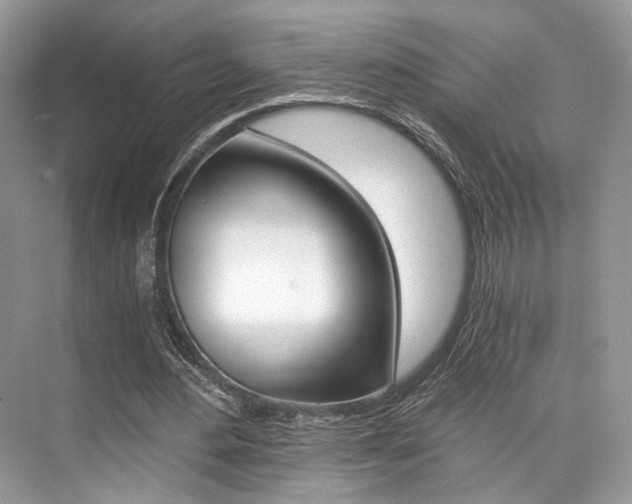 X0000073900484200608110939