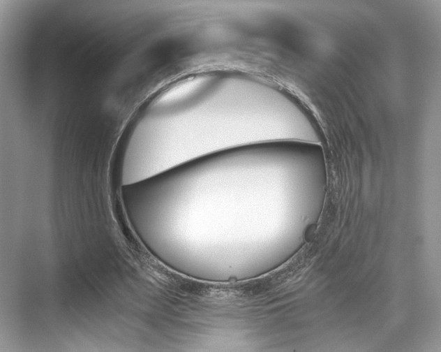 X0000073900487200608110939