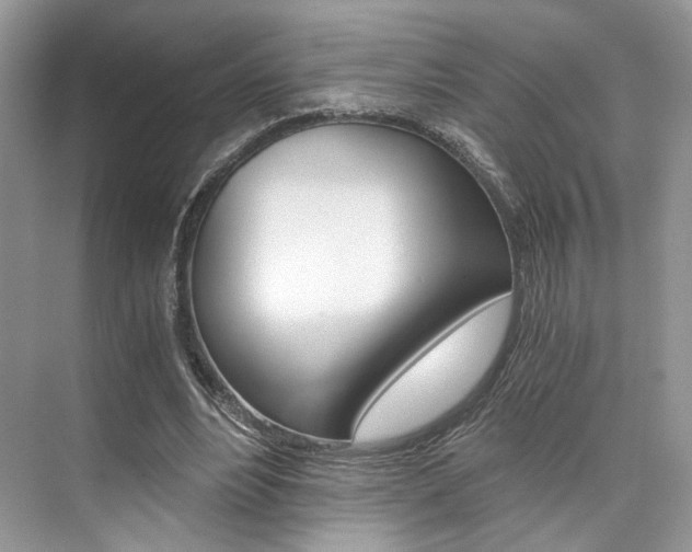 X0000073900488200608110939