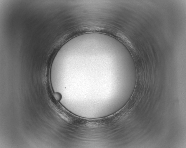 X0000073900490200608110939