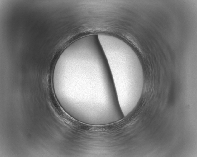 X0000073900491200608110939