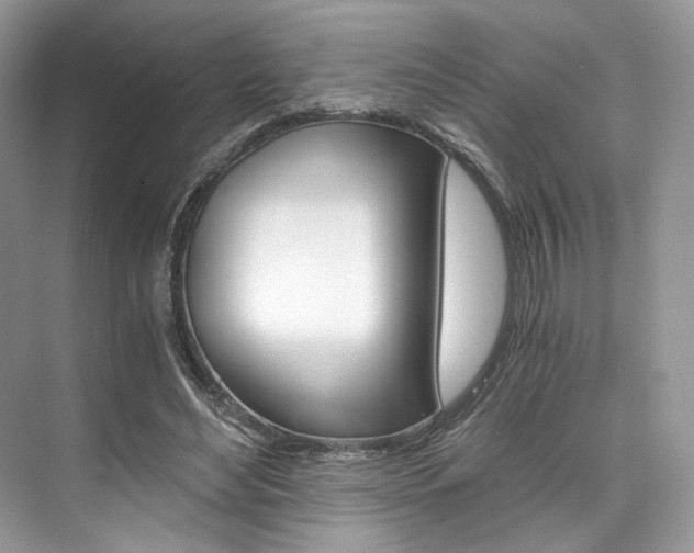 X0000073900492200608110939