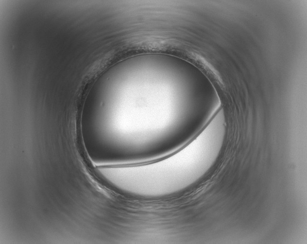 X0000073900493200608110939