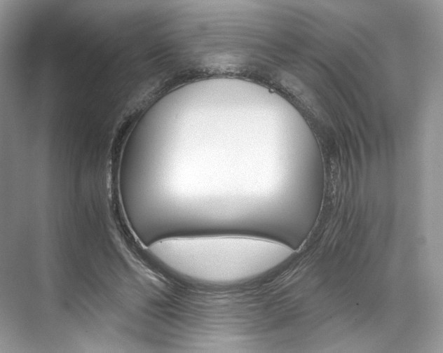 X0000073900494200608110939