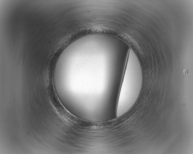 X0000073900496200608110939