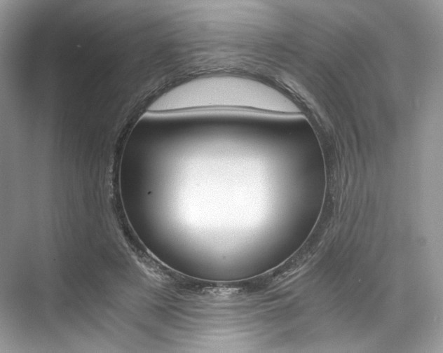 X0000073900497200608110939