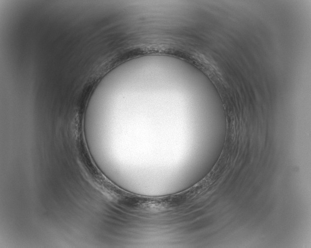 X0000073900498200608110939