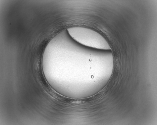 X0000073900499200608110939