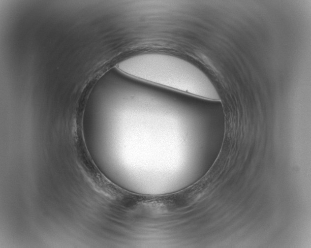 X0000073900500200608110939