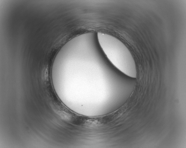 X0000073900502200608110939