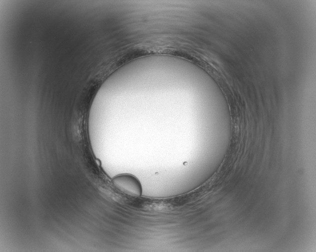 X0000073900503200608110939