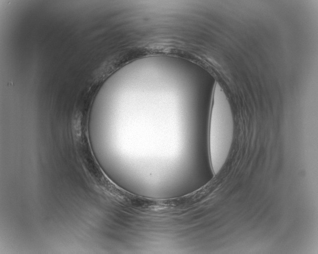 X0000073900504200608110939