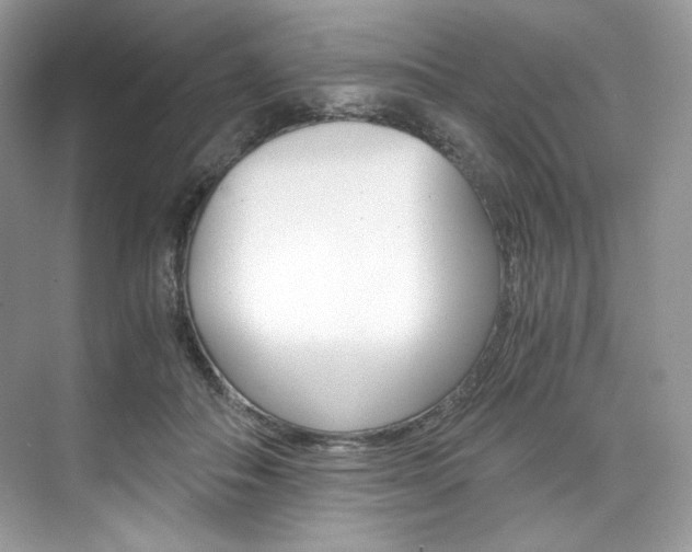 X0000073900506200608110939