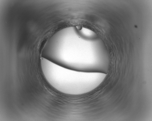 X0000073900507200608110939