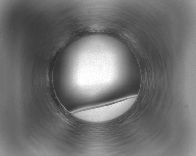 X0000073900508200608110939