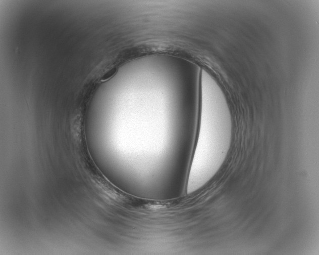 X0000073900509200608110939