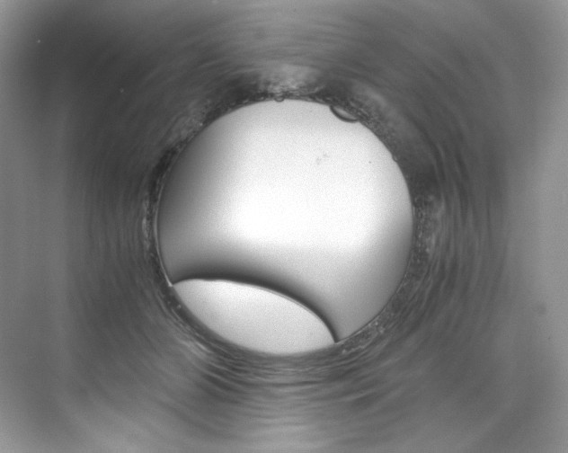 X0000073900510200608110939