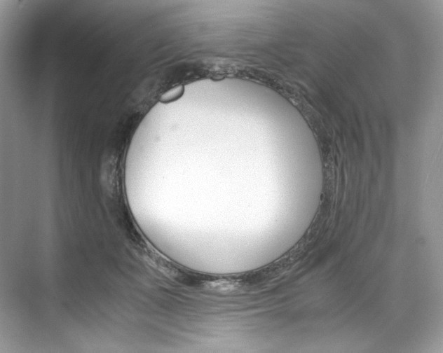 X0000073900511200608110939