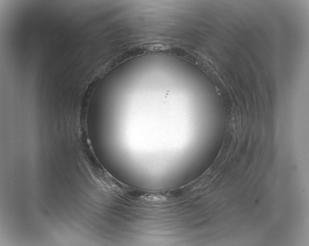 X0000073900512200608110939