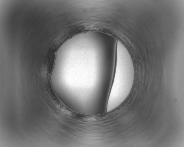 X0000073900513200608110939