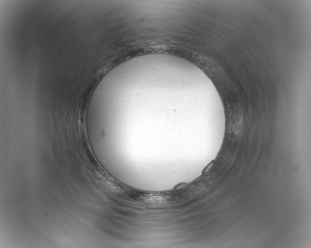 X0000073900518200608110939