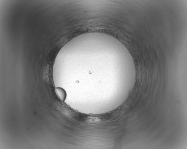 X0000073900519200608110939