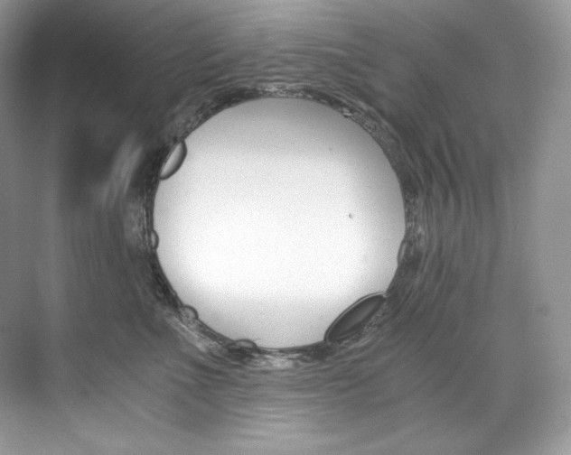 X0000073900523200608110939