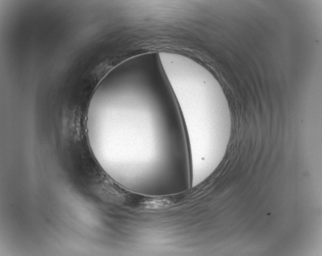 X0000073900525200608110939