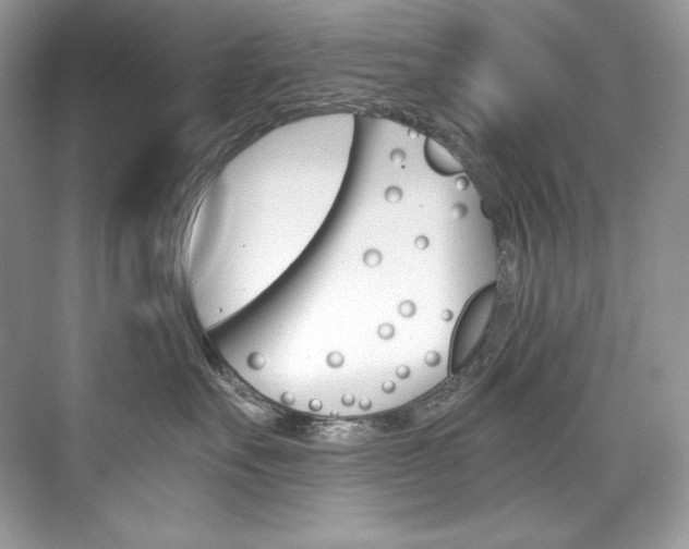 X0000073900527200608110939