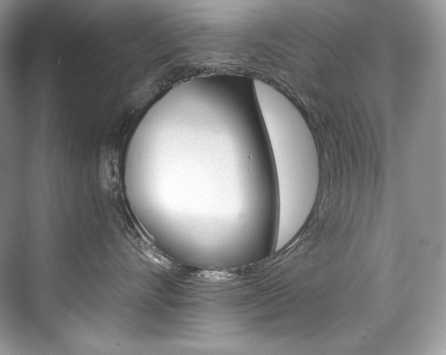 X0000073900528200608110939