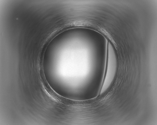 X0000073900530200608110938