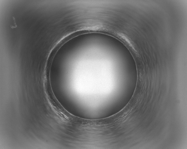 X0000073900532200608110938
