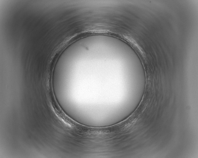 X0000073900533200608110938