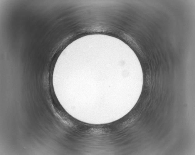 X0000073900534200608110938