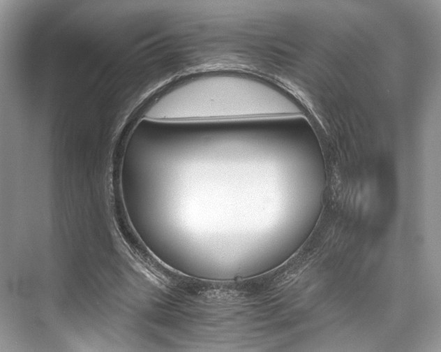 X0000073900535200608110938