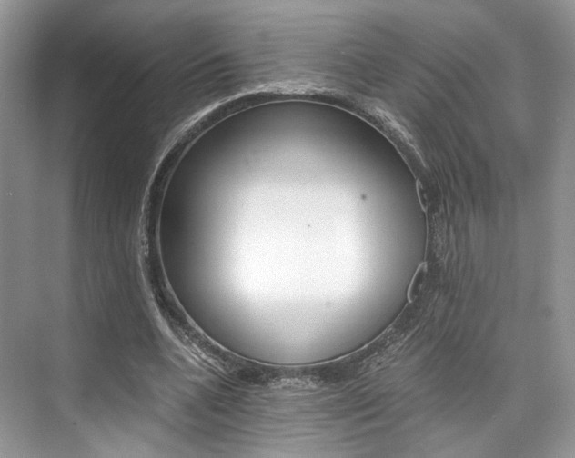 X0000073900536200608110938
