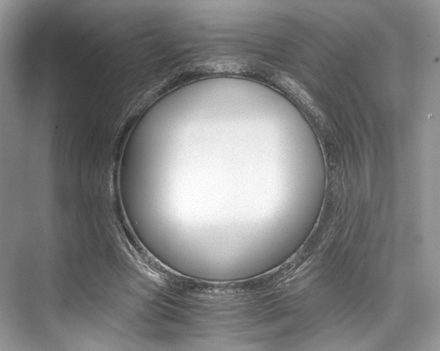 X0000073900537200608110938