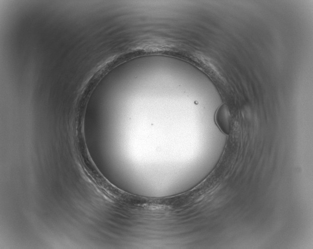 X0000073900539200608110938