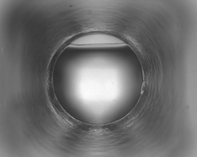 X0000073900540200608110938