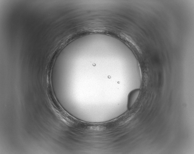 X0000073900541200608110938