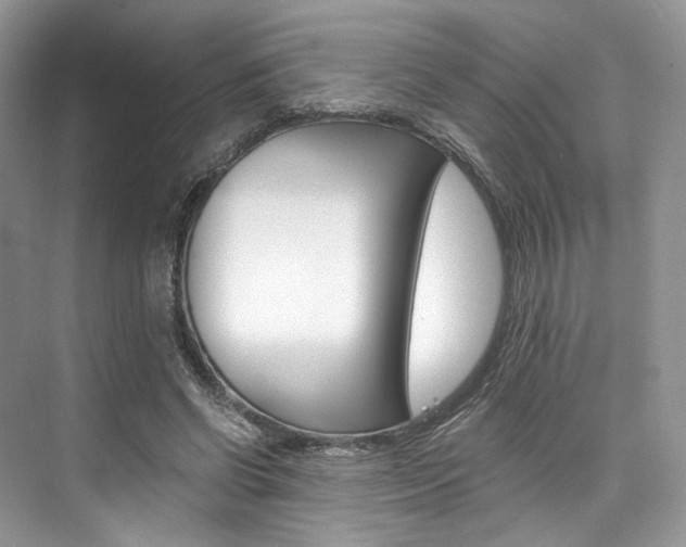 X0000073900542200608110938