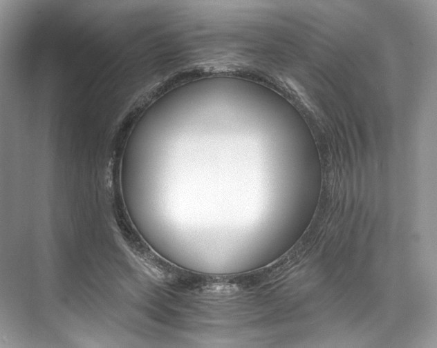 X0000073900543200608110938