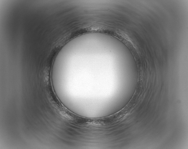 X0000073900545200608110938