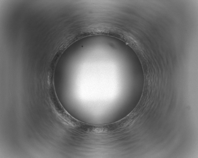 X0000073900546200608110938