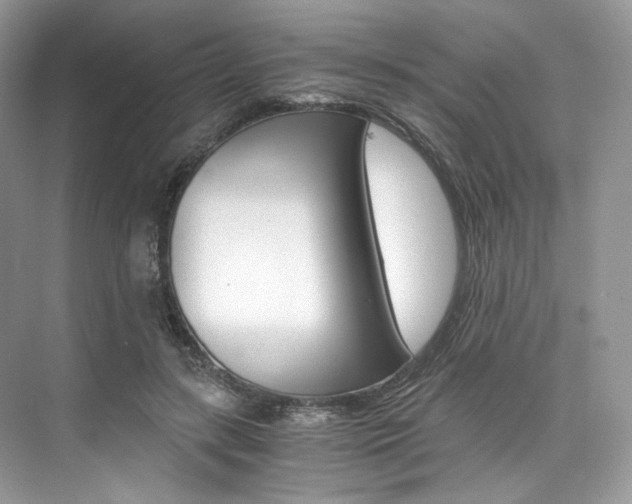 X0000073900547200608110938
