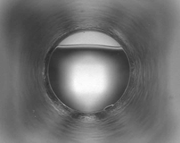 X0000073900548200608110938