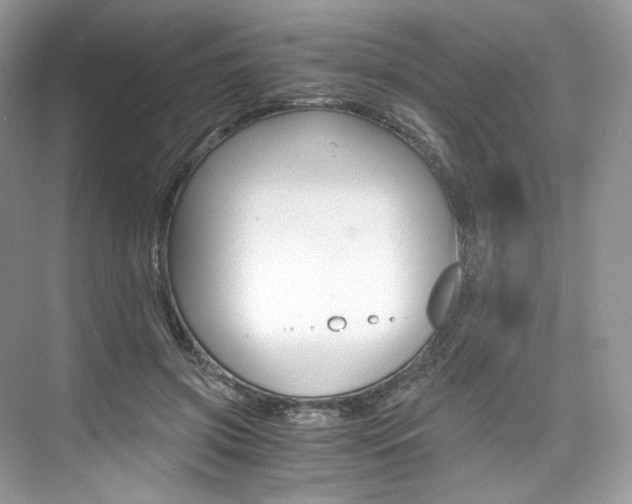 X0000073900549200608110938